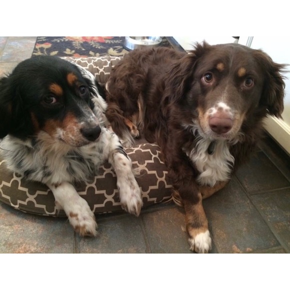 Meet your Posher, Patricia - Picture 3 of 3